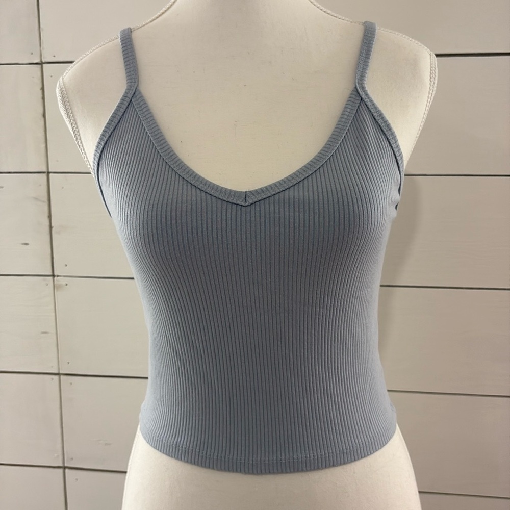 American Eagle Outfitters Blue Sleeveless Crop Camisole